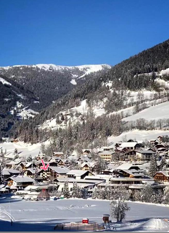Apartment Bella Vista Bad Kleinkirchheim